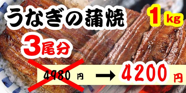 �R�����@���Ȃ����ā@4200�~