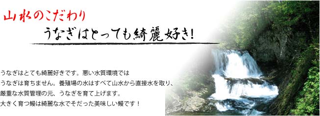 �V�@���ā@�������@�R���̂������