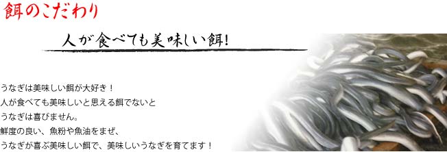 ���������V�A�V�̊��āA�a